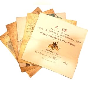 Pottery Barn "Farmhouse Living" Set Of 5 Decorative Pillows 16.5" X 16.5" Animal